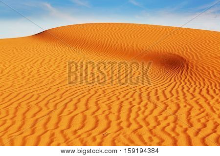 Sand Dunes In The Sahara Desert