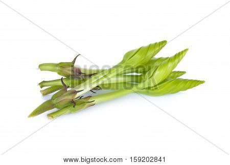 moonflower edible flower on a white background