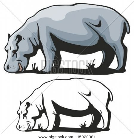 하 마의 벡터 일러스트 레이 션.