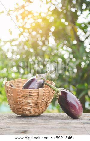 Group of eggplant on old wood background