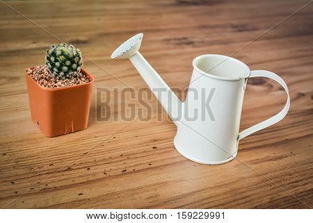 Little beautiful cactus with watering on wood background hipster tone and soft focus
