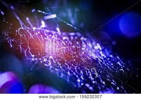 beauty design spider web spiderweb blue macro background cobweb technology hacker - stock image
