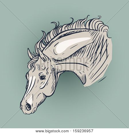 Horse head in expressive pose vector graphic illustration