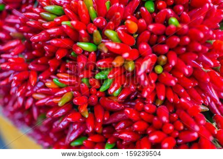 Red hot chilly pepers closeup background