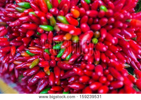 Red hot chilly pepers closeup background