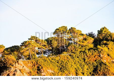 Town Of Getaria Basque Country Spain