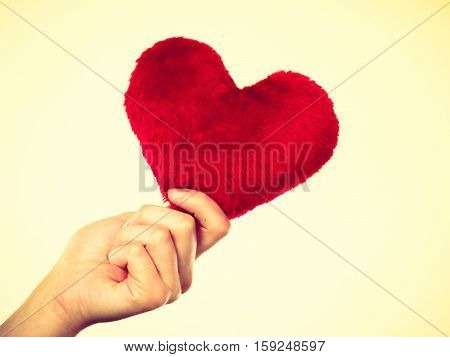 Valentine day gift proof of love romantic present concept. Person holding small furry red heart