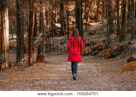 Young woman walking away alone on a forest path wearing a red overcoat