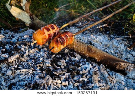 food sausages roasted on the fire picnic