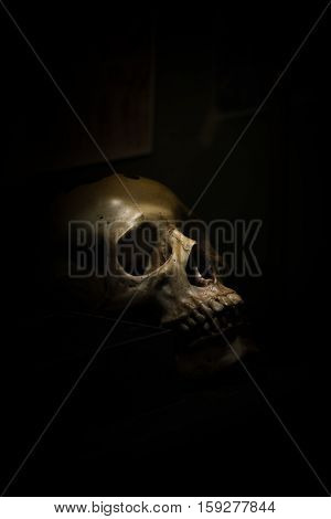 spotlight Shines on skull in dark room
