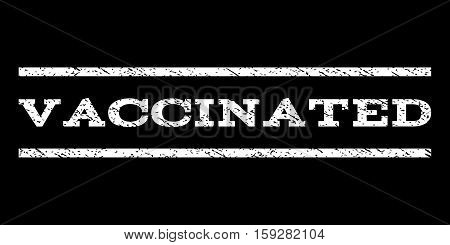 Vaccinated watermark stamp. Text caption between horizontal parallel lines with grunge design style. Rubber seal white stamp with dust texture. Vector ink imprint on a black background.