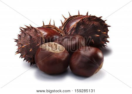 Horse Chestnuts, Clipping Paths