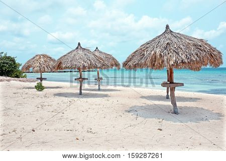 Grass umbrellas at the beach on Aruba island