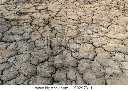 Drought Land - Cracked Ground.
