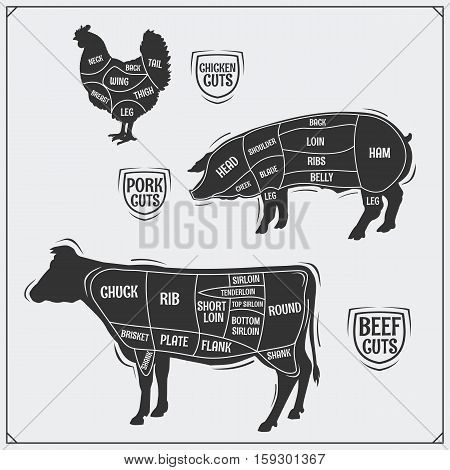 Cuts of pork and beef. American method. Vector monochrome illustration. Vintage style.