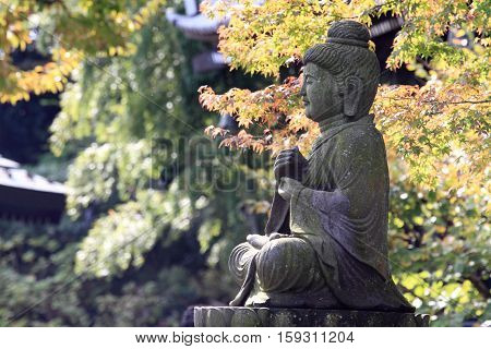 Buddha image and Autumn leaves in Hasedera Kamakura