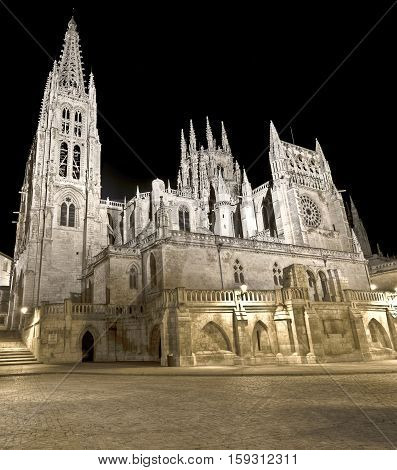 Night view of Burgos cathedral. Famous spanish landmark.