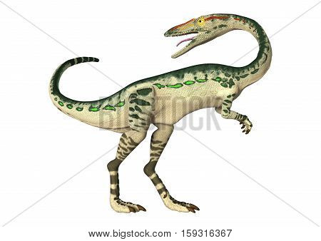 3D Rendering Dinosaur Coelophysis On White