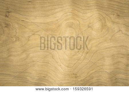 Real Natural Wood Texture wood background texture.architecture backdrop board color light vintage wall white wooden floor paint grunge backdrop pattern board rough rustic christmas.