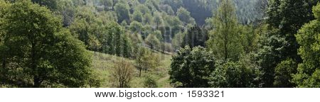 Boschi delle colline Clent