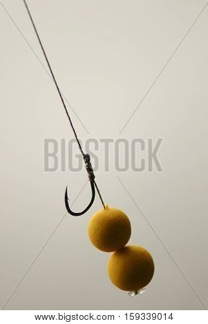 Fishing Rig Pop Up In Bait