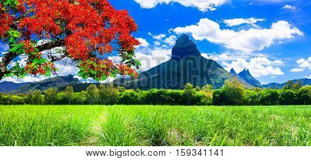 Beautiful mountain landscapes of Mauritius island with famous 