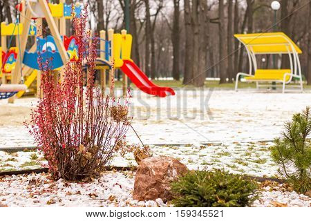 wintry contrast beautiful red plant dilutes black winter white paint