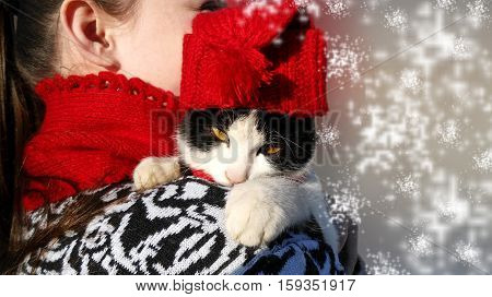 The girl in the red scarf.     Winter day.
Cat in red cap