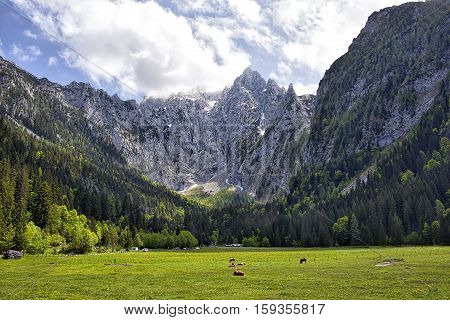Scharitzkehl valley above the Berchtesgaden valley and the Koenigsee.
