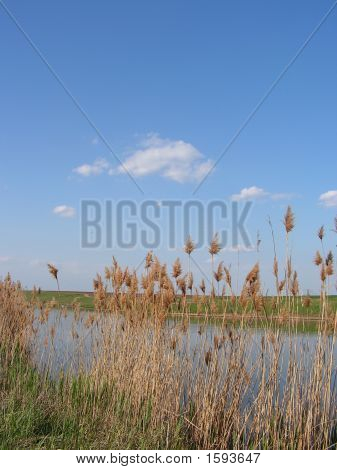 Lakeside landskap
