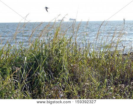 Distant oil rigs co-exist with nature near Dauphin Island Alabama. This natural gas field in Mobile Bay is mined with a zero discharge policy.