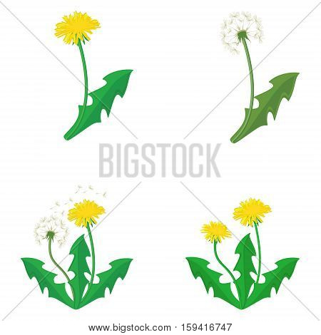 Dandelions Vector Set