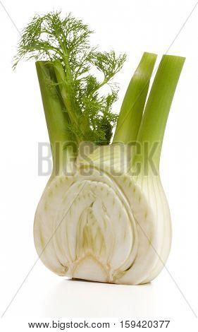 Fresh fennel bulb isolated on white background close up