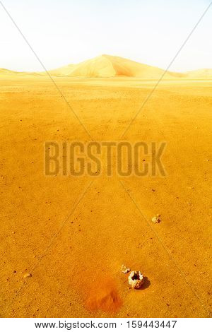 In Oman Old Desert