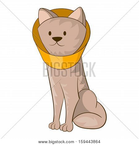 Dog wearing funnel cone collar icon. Cartoon illustration of dog wearing funnel cone colla vector icon for web