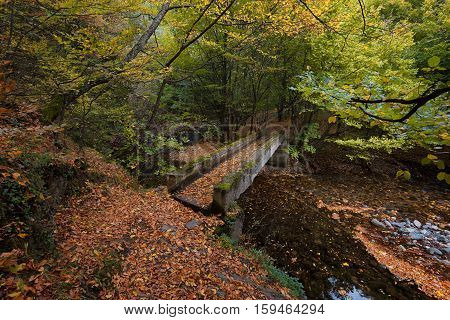 Stara reka Reserve in the autumn, Stara planina mountain, Bulgaria