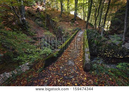 Stara reka Reserve in the autumn, Stara planina mountain, Bulgaria