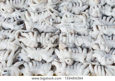 Many fresh octopus in seafood market Thailand.