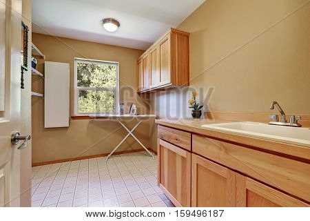 Laundry Room Interior With Vanity Cabinet