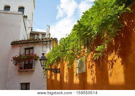 Seville Juderia barrio in Andalusia Sevilla of Spain
