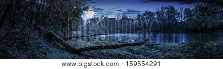 Mountain River With Fallen Tree On The Shore At Night