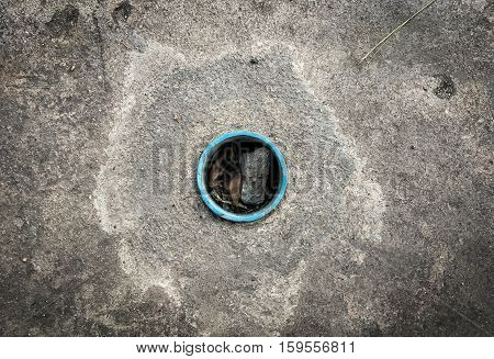 gabbage is Blocking street water draining pipe.
