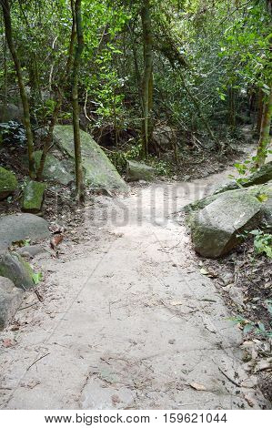 nature walkway in Khao Chamao , Rayong , Thailand