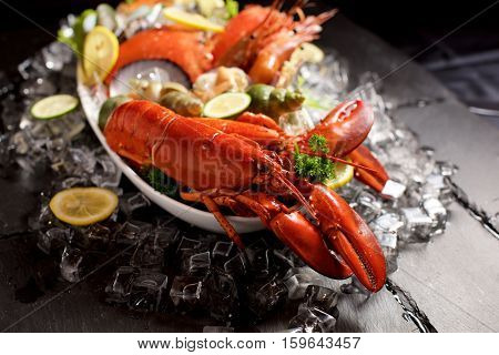 Seafood Lobster Plater On Slate