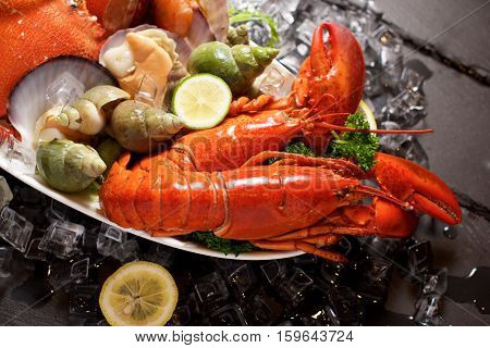 Seafood Lobster Plater On Slate