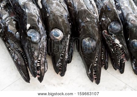 Black scabbardfish - Aphanopus carbo - in the Fish Market Funchal, Portugal