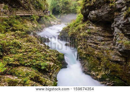 Mountain river Radovna in the Vintgar gorge, a natural Triglav national Park, Slovenia.