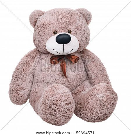 Grey toy plush teddy bear isolated on white background