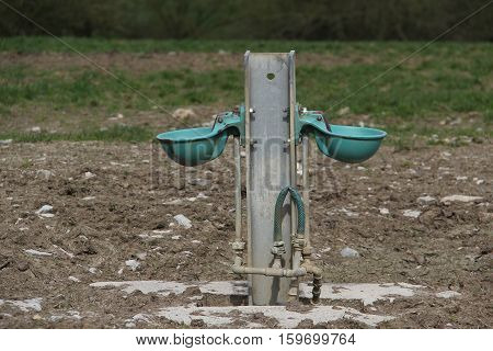 Autodrinking / Autodrinking for cows in the pasture