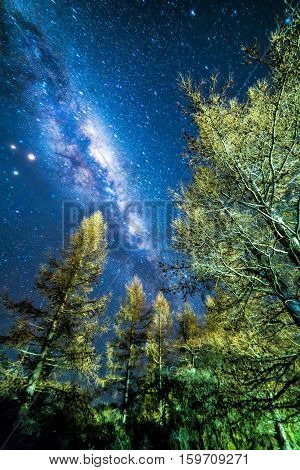 Milky way from glentanner campsite New Zealand.